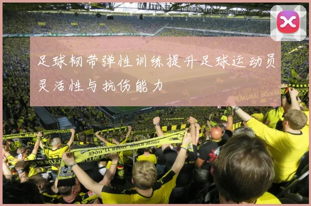 足球韧带弹性训练提升足球运动员灵活性与抗伤能力