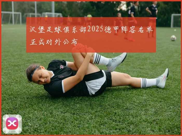汉堡足球俱乐部2025德甲阵容名单正式对外公布