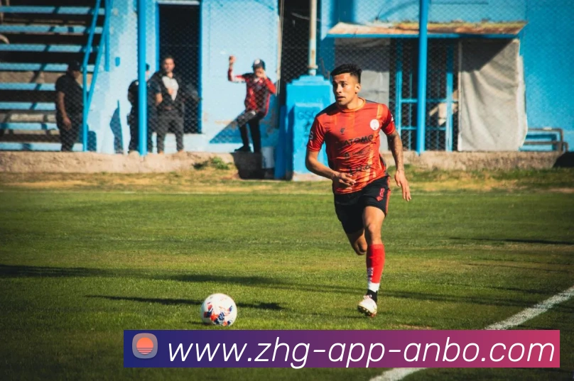 安博体育平台生态图