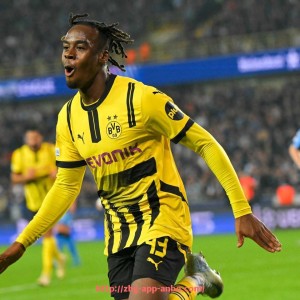 安博体育app下载-CBA中国足球教练是谁：跨足两项运动的专家解读